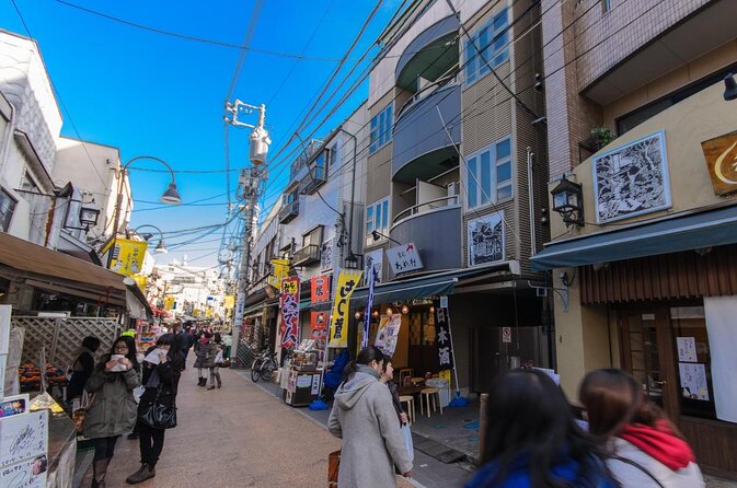 Yanaka Walking Tour: Historic and Traditional District of Tokyo - Key highlights worth your time